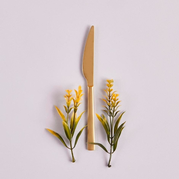 6 Pieces Small Dinner Knife - Gold