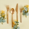 6 Pieces Small Dinner Knife - Gold