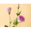 Deluxe Roses Single Branch Artificial Flower 72 Cm - Light Purple