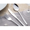 12 Pieces Sahara Mirror Finish Dinner Spoon Set 2.5 / 201 mm - Silver