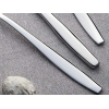 3 Pieces Sahara Mirror Finish Gel. Vacuum Dinner Fork Set 2.5 / 200 mm - Silver