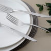 12 Pieces Vienna Dessert Fork Set 2.5 mm - Silver