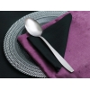 Sahara Mirror Finish Service Spoon 2.5 / 274 mm - Silver