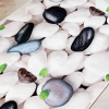 Mango Sea Stones 80 x 150 cm Cotton Decorative Carpet - White / Black / Green / Blue