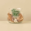 Succulent Large Arrangement 16 x 13.5 cm - Green