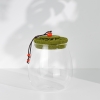 Round Airtight Glass Storage Jar With Lid 0.5 - 1 L - Transparent / Green