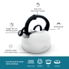 2.5 L Zymta Whistling Stainless Steel Teapot With Ergonomic Handle - Silver
