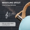  2.5 L Zymta Whistling Stainless Steel Teapot With Ergonomic Handle - Blue
