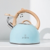  2.5 L Zymta Whistling Stainless Steel Teapot With Ergonomic Handle - Blue