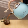  2.5 L Zymta Whistling Stainless Steel Teapot With Ergonomic Handle - Blue