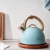  2.5 L Zymta Whistling Stainless Steel Teapot With Ergonomic Handle - Blue