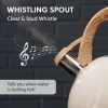 2.5 L Zymta Whistling Stainless Steel Teapot With Ergonomic Handle - Beige