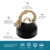 2.5 L Zymta Whistling Stainless Steel Teapot With Ergonomic Handle - Black 