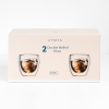 2 Pieces Double Wall Borosilicate Glass Coffee Cup Set 250 ml With No Handle - Transparent
