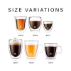 2 Pieces Double Wall Borosilicate Glass Cup Set 350 ml - Transparent 