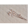 Cottonia 60 x 120 x 10 cm Baby Spring Mattress - Cream