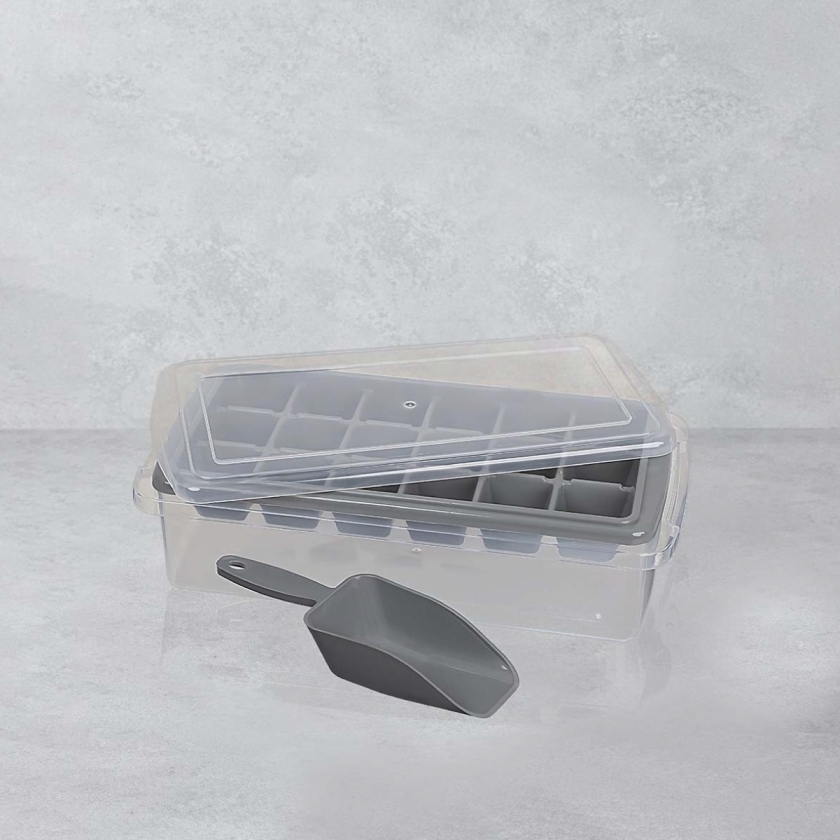 Tropical Ice Cube Maker With Spoon ..