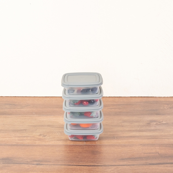 5 Pieces Cook & Keep 300 ml Rectangular Storage Box Set - Grey