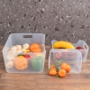 11 L Luna Plastic Organizer - Transparent
