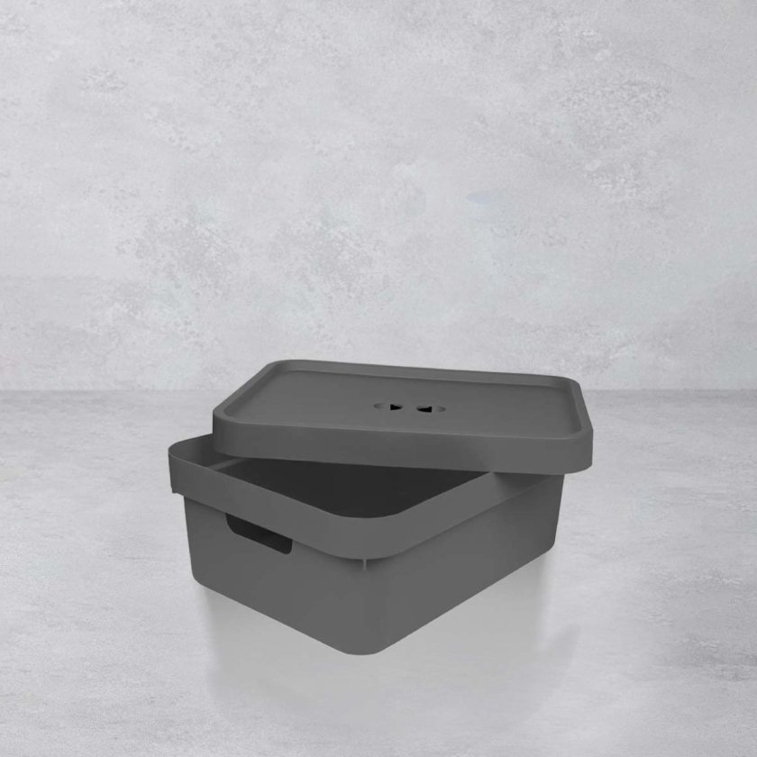 11 L Prime Plastic Organizer With C..