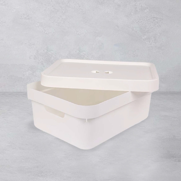 11 L Prime Plastic Organizer With Cover - White