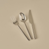 18 Pieces Premium Dessert Cutlery Set - Silver