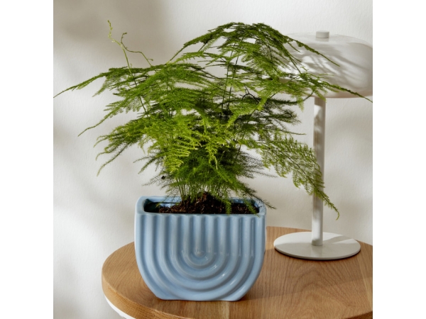 California Vase 14.4 x 8.4 x 9.7 cm - Blue