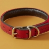 Alex Collar Size M ( 46 cm ) - Red