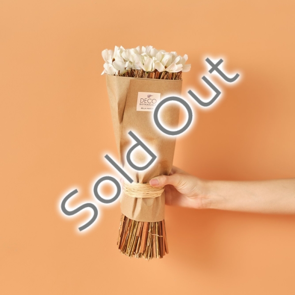 Daisy Dried Flower Branch Bouquet 35 cm - White 