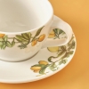 2 Pieces Sicilia Porcelain Teacup Set 270 cc - Green / Orange / White
