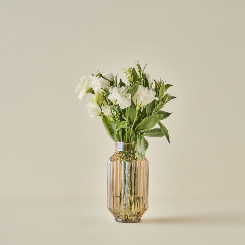 Nilda Glass Vase 12 x 23 cm - Amber..