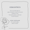 Osmanthus Soy Wax Candle - Anthracite