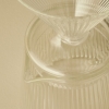 Blaze Filter Coffee Pot 520 ml - Transparent