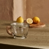 Bloom Juicer 500 ml - Transparent