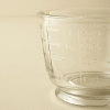 Bloom Juicer 500 ml - Transparent