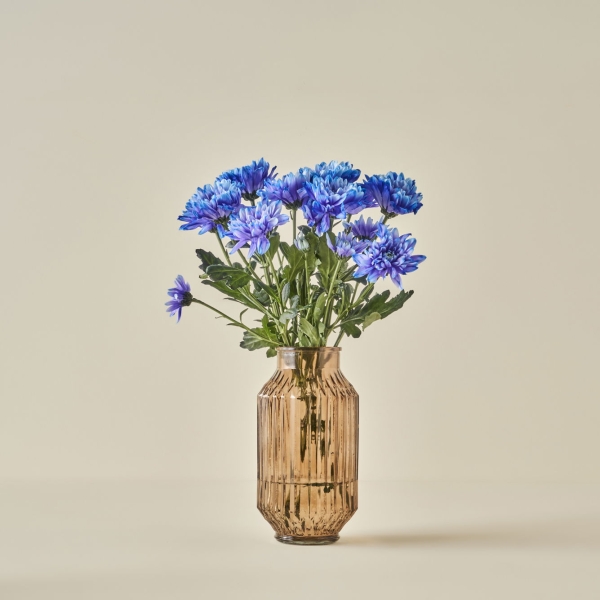 Nilda Glass Vase 12 x 23 cm - Brown