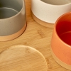 5 Pieces Novis Bowl Set - Multicolor
