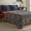4 Pieces Kleo 200 x 220 cm Cotton Double Duvet Cover Set