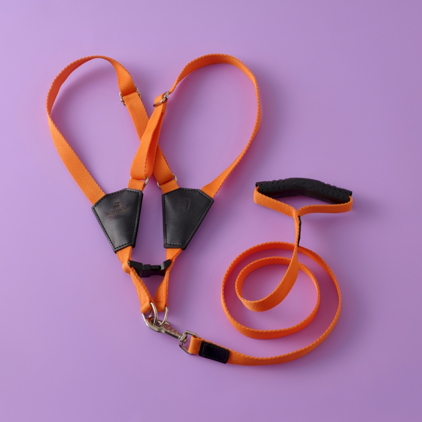 X Paw Odin H Type Chest Harness L S..