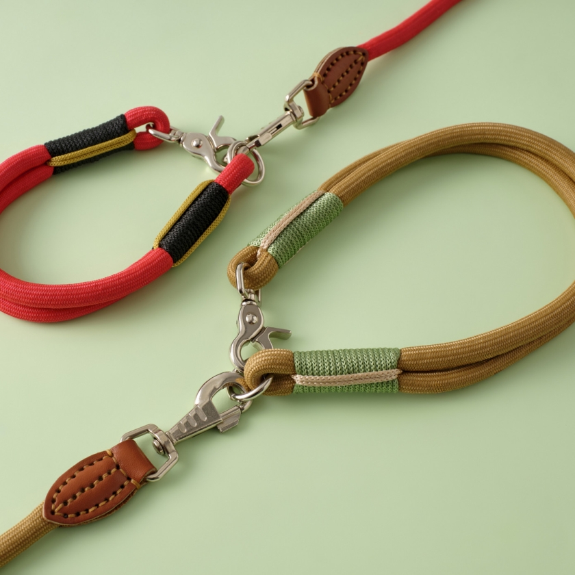 X Paw Barney Dog Collar S Size - Re..
