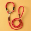 X Paw Barney Dog Collar S Size - Red