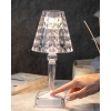 Brilliant With Led Decorative Lighting 26 cm Transparent