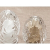 Peggy Glass 2 Pcs Salt Shaker - Pepper Shaker 5,5x8,5 cm Transparent