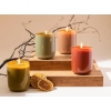Carmin Scented Candle 190 gr