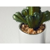 Cactus Ceramic Artificial Flower with Vase 12.7cm Silver