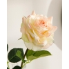 Canker Bloom Fabric Single Branch Artificial Flowe 45 cm Cream