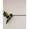 Canker Bloom Fabric Single Branch Artificial Flowe 45 cm Cream