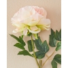 Amaranthus Fabric Single Branch Artificial Flower 48 cm Cream
