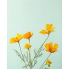 Daisy Single Branch Artificial Flower 62 cm Orange