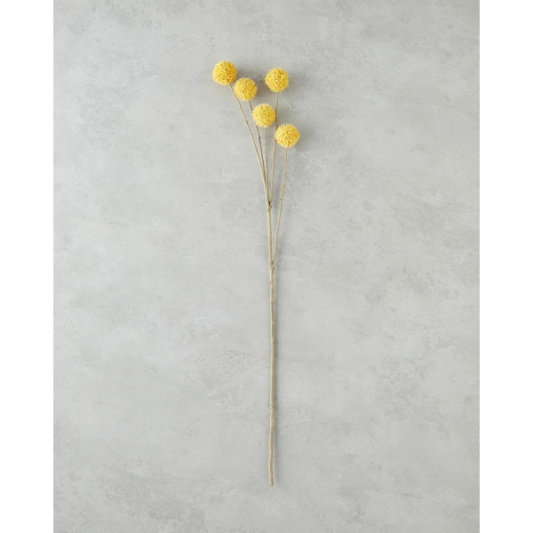Acacia Single Branch Artificial Flower 76 cm Yellow